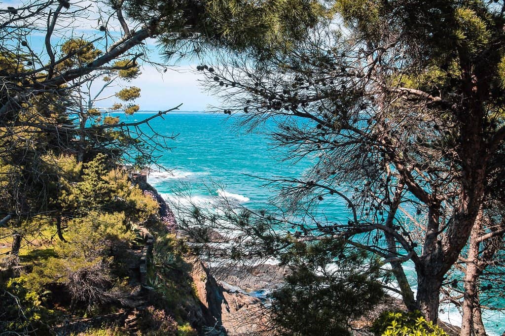 Scenic Promenade Dining