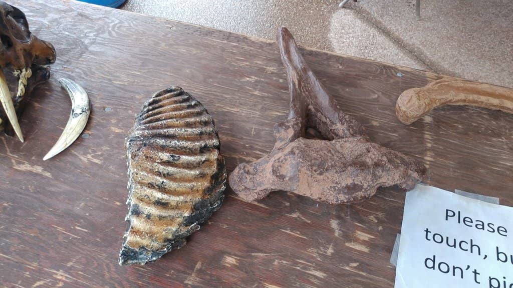 The Enclosed Dig Shelter