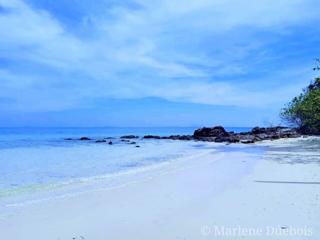 Abundant Small Crabs