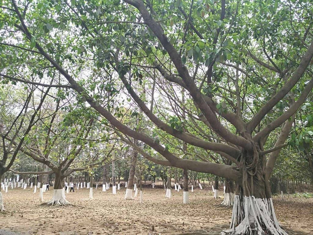 Ecological and Innovation Hub