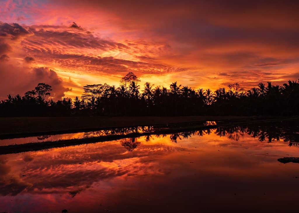 Local Farmer Encounters