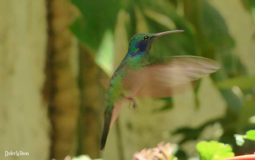 Art & Photography Gallery