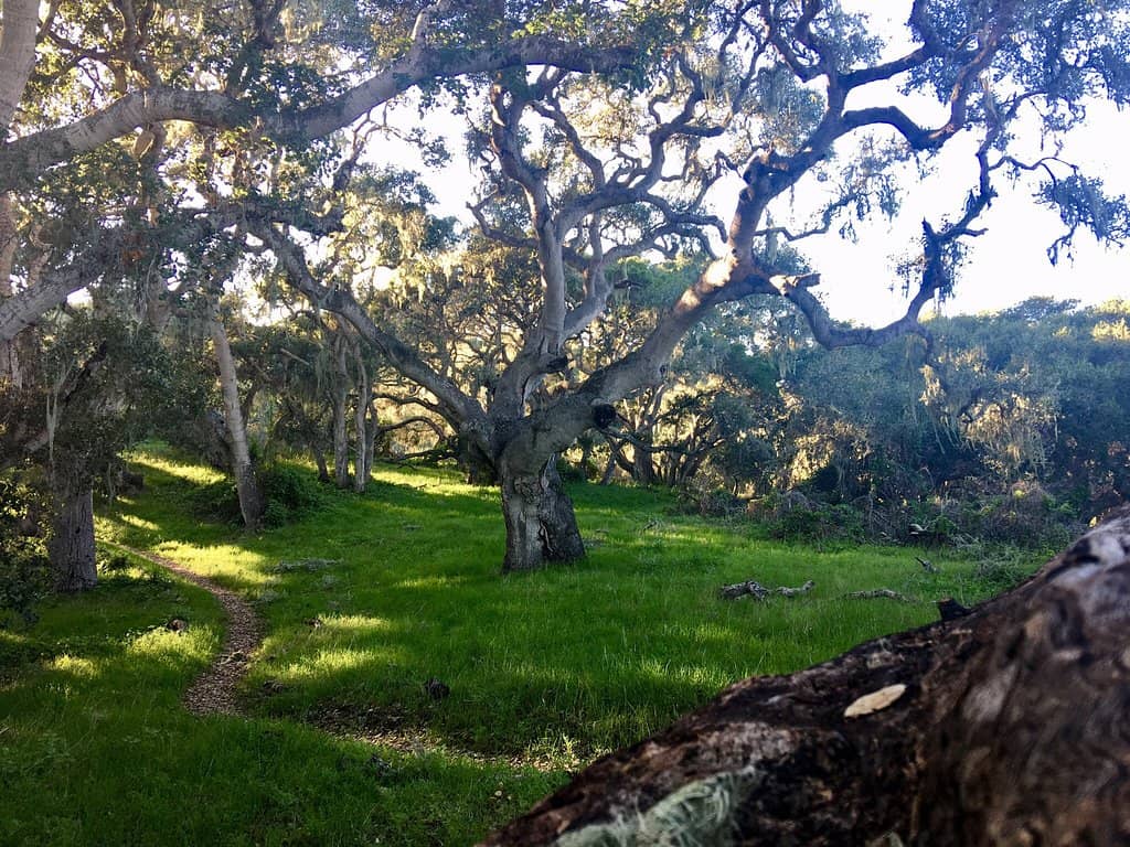 Peaceful & Secluded Trails