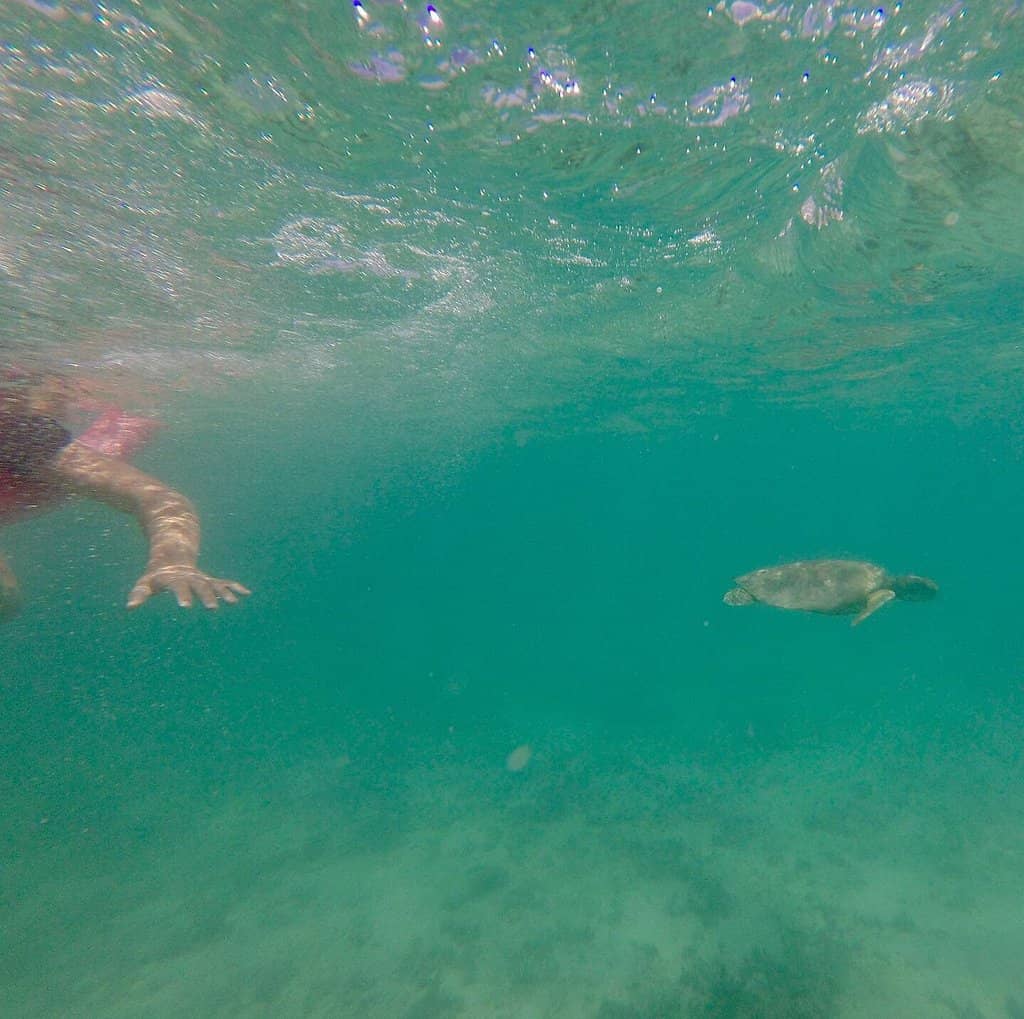 Crystal Clear Waters