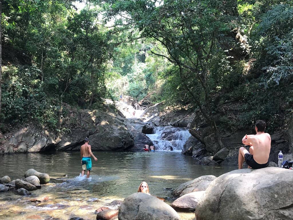Jungle Trails