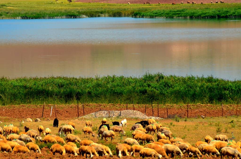 Pılır Mound Archaeological Site