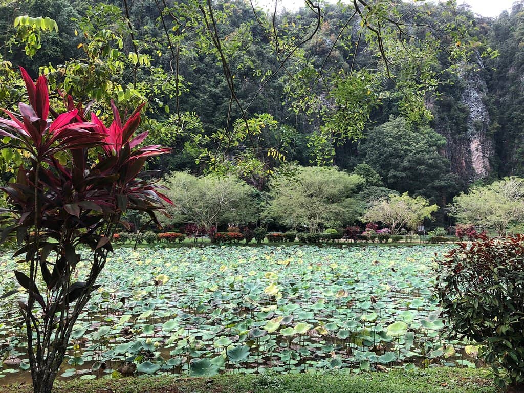 Serene Garden Oasis