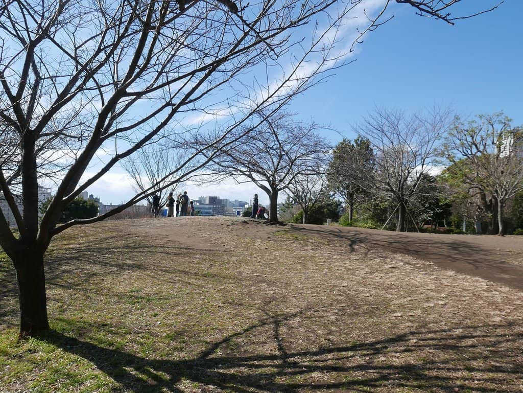 Picnic Spots