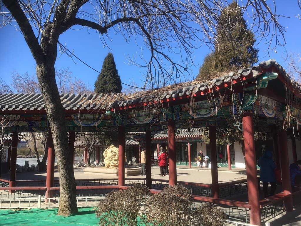 Local Life Spectacle