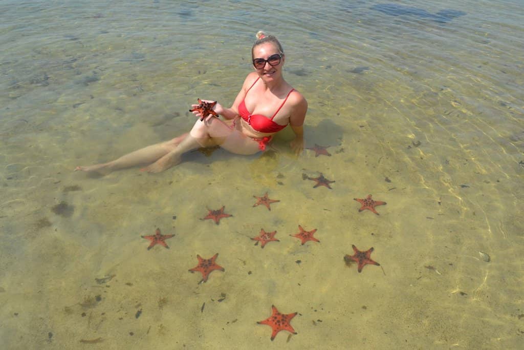 Highlights