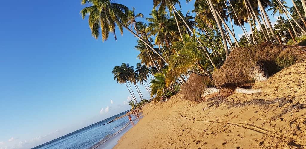 Scenic Beach Walks
