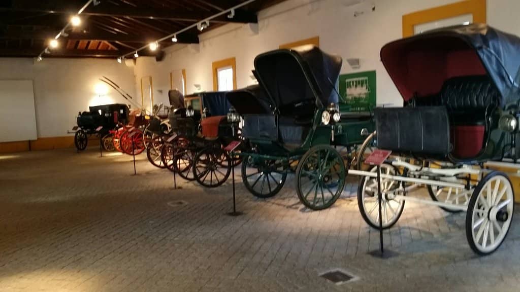 Guided Stud Farm Tour