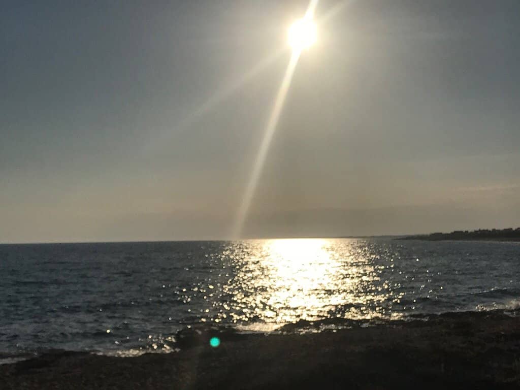 Vertical photo