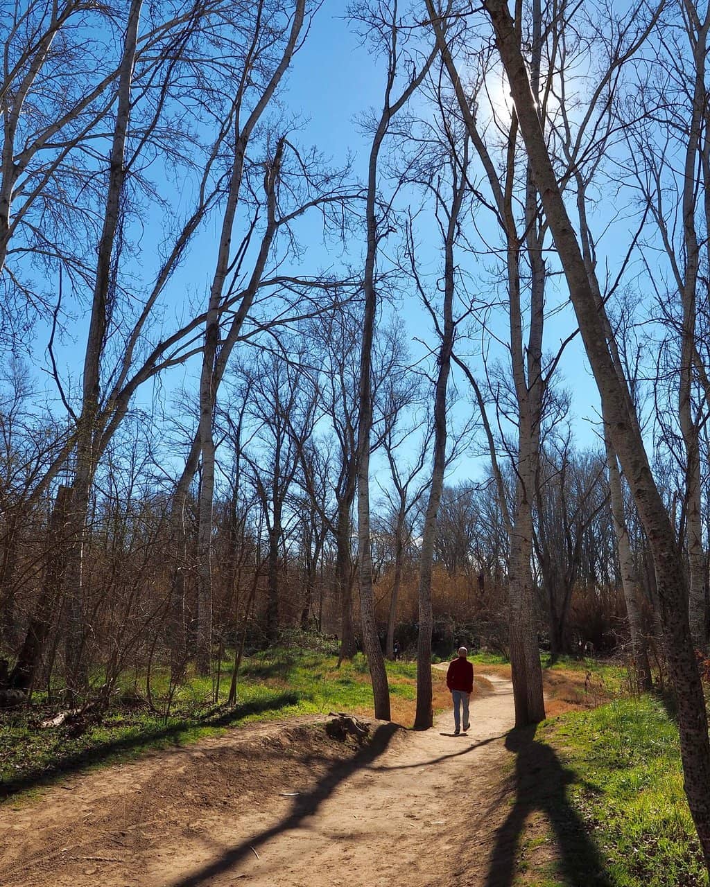 Family Picnic Spots