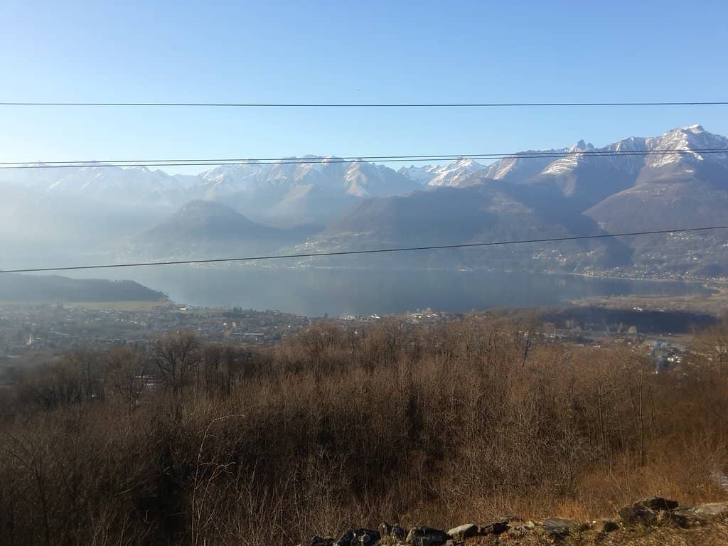 Vertical photo