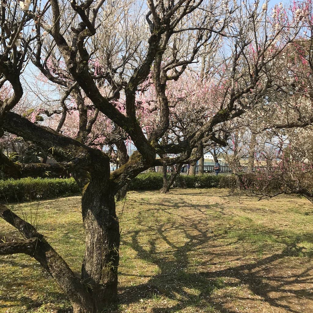 Arima Clan Mausoleums