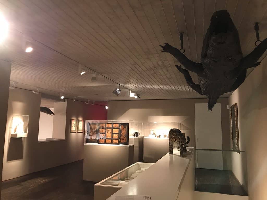 Unique Gallery Ambiance