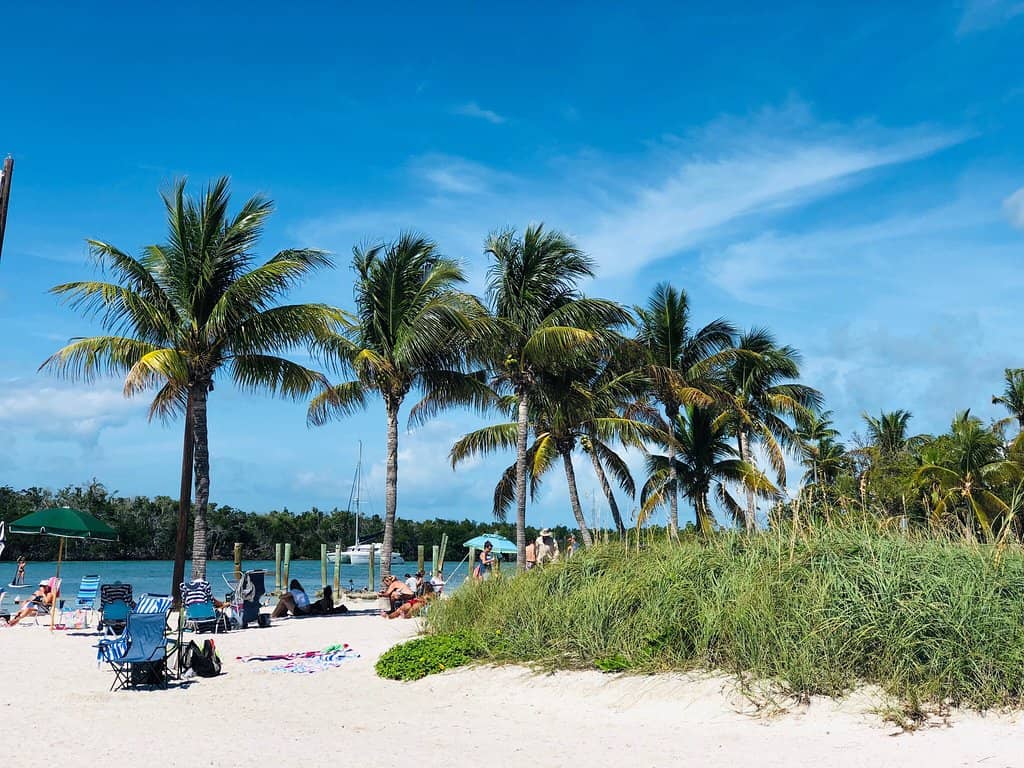 Loggerhead Turtle Nesting Site