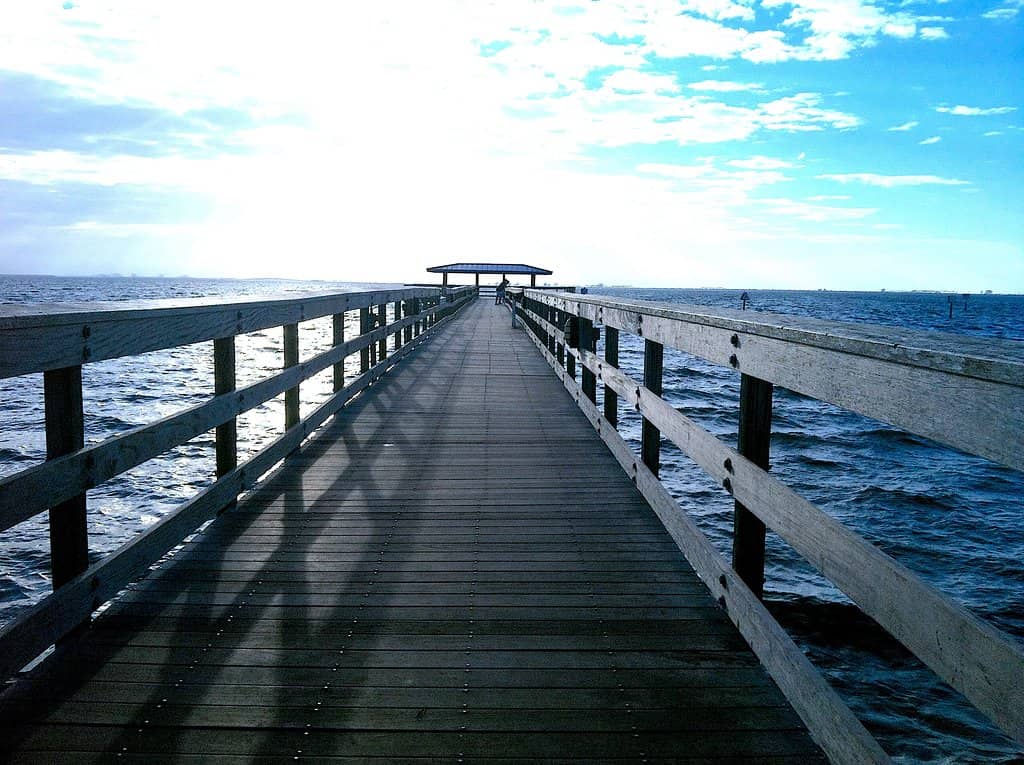 Vertical photo