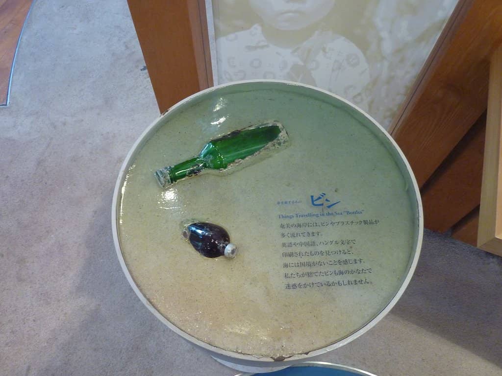 Amami Rabbit Information