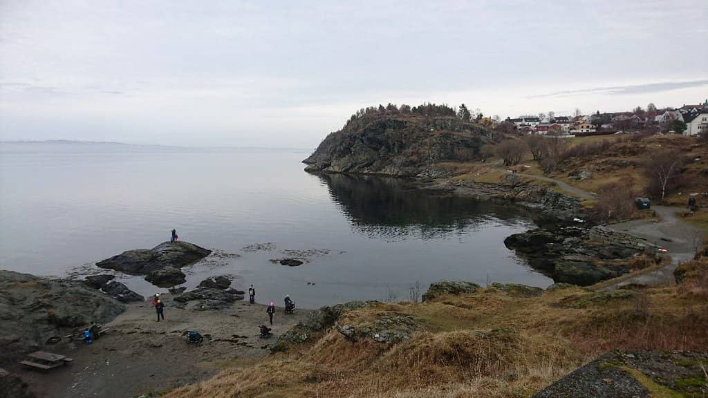 Norwegian Sea Swim