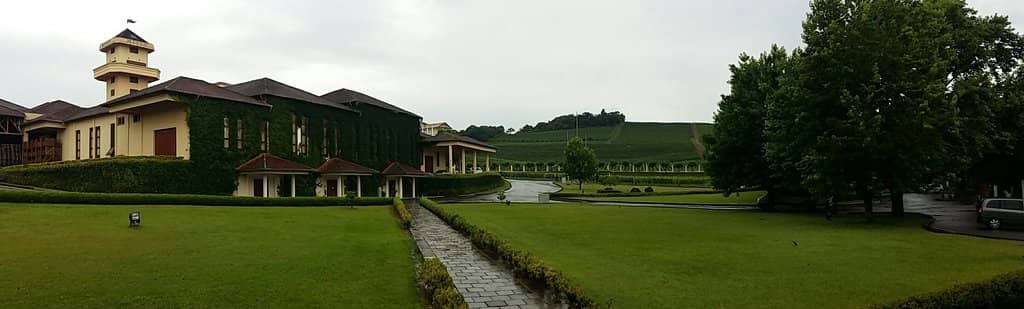 Guided Winery Tour