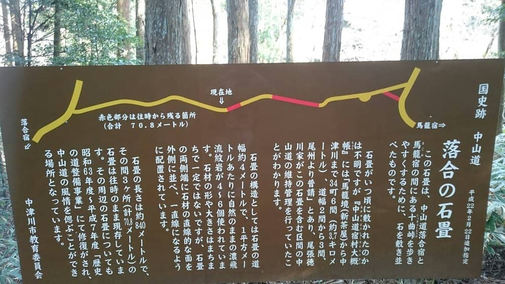 Bamboo Forest Charm