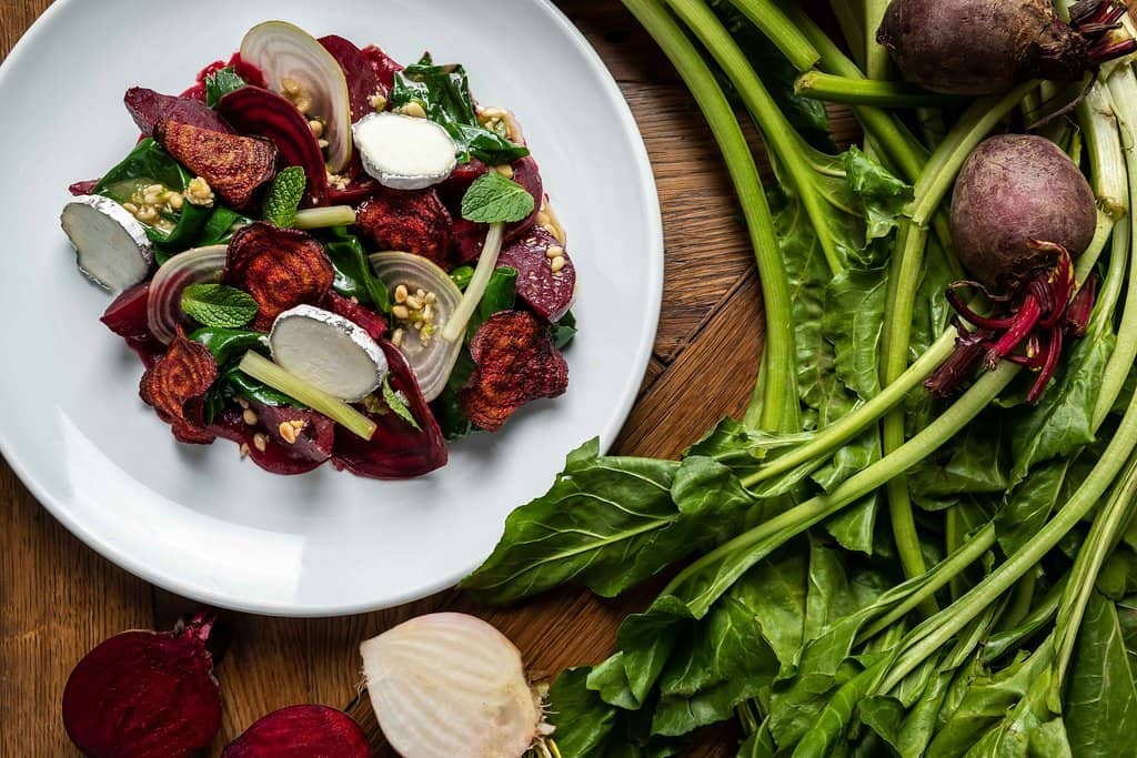 Charming Garden Ambiance