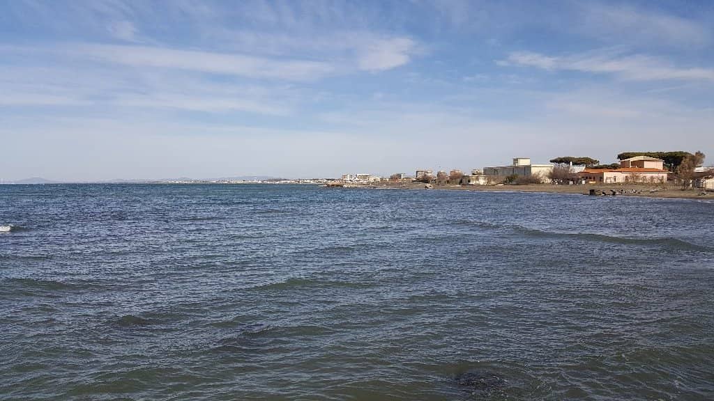 Porto Clementino Fish Market