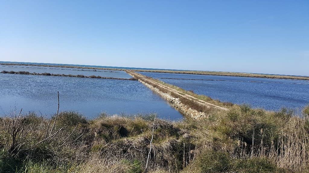 Tranquil Public Beach