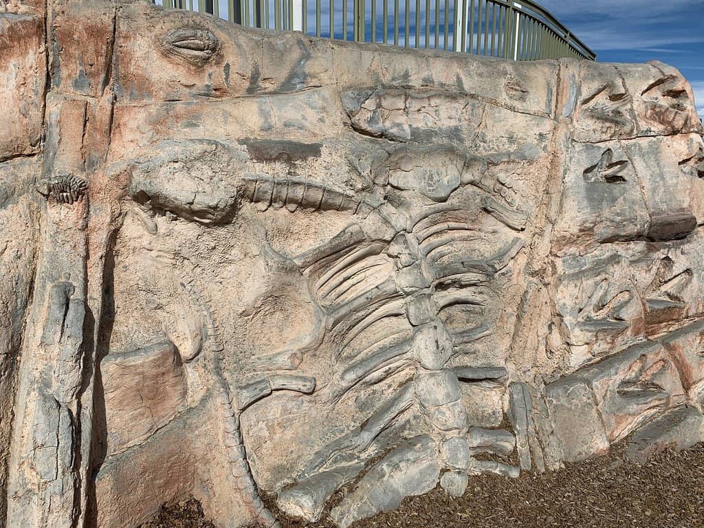 Pump Track & Bike Park