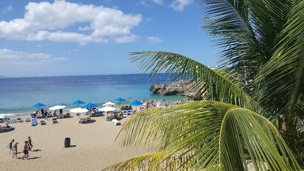 Vibrant Underwater World