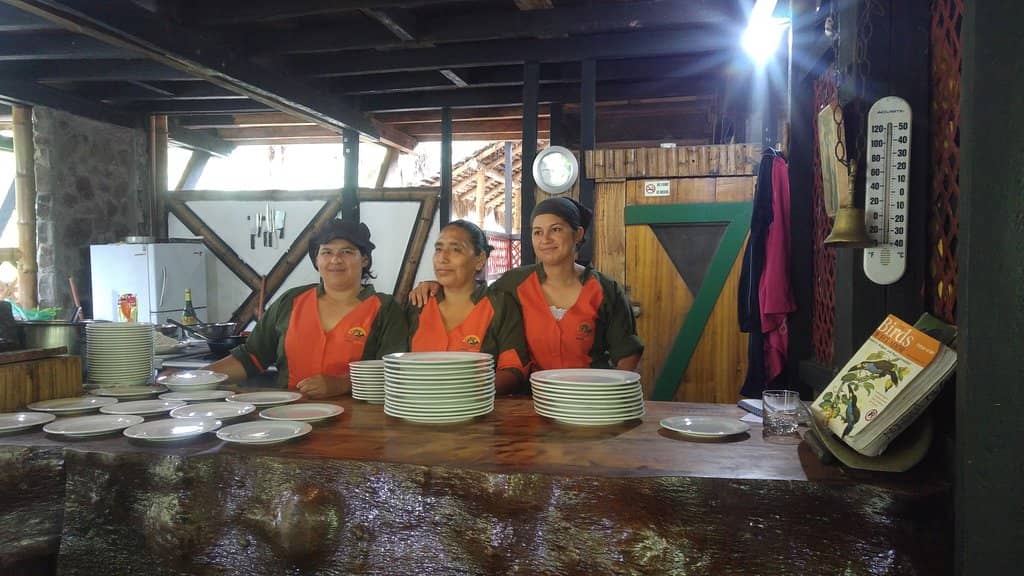 Waterfall and River Swims