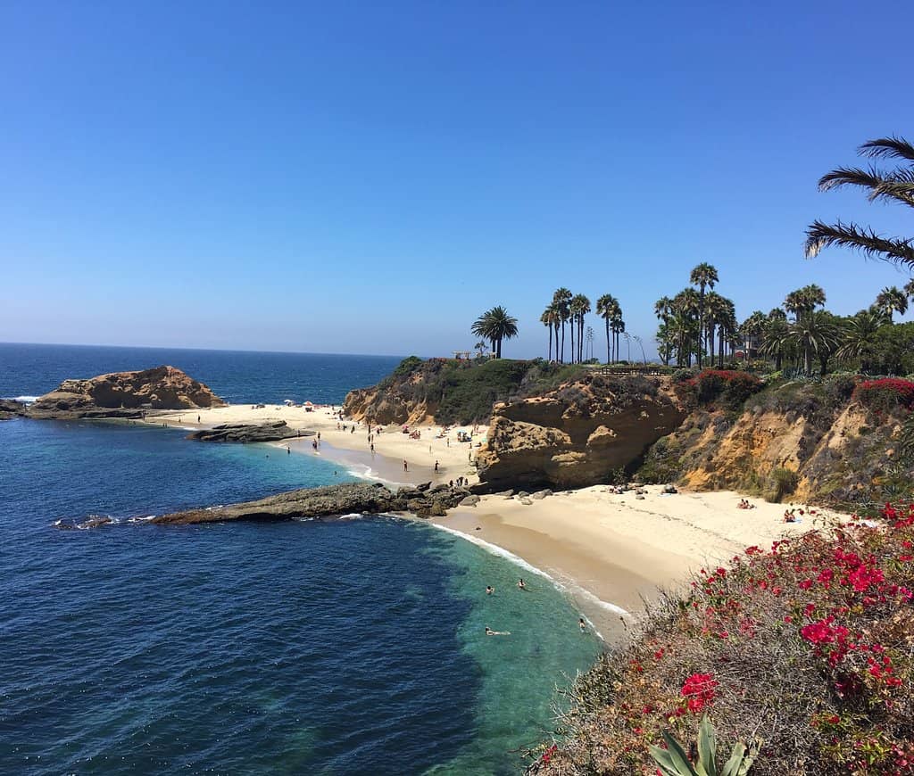 Tide Pools Exploration
