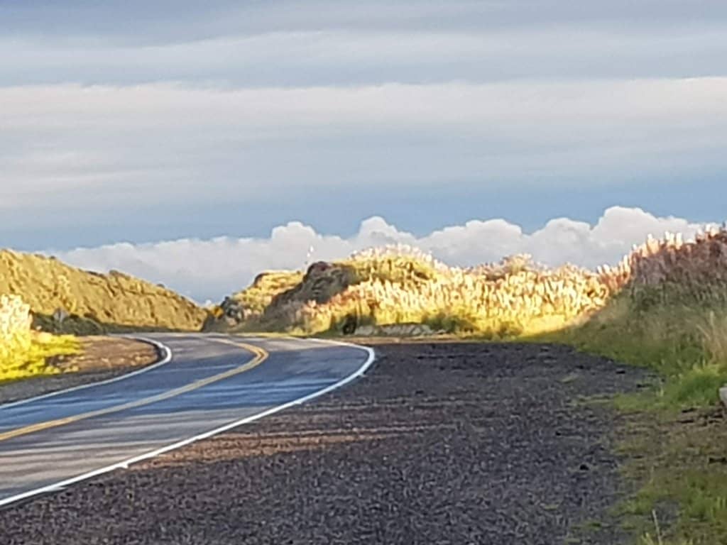 Arco del Cielo (Stone Arch)