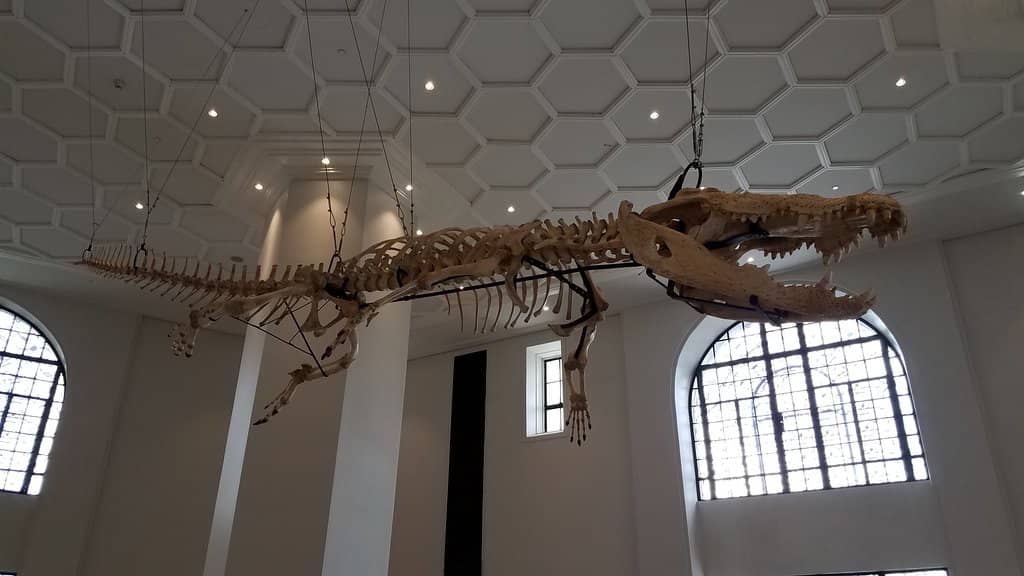 Lolong the Crocodile