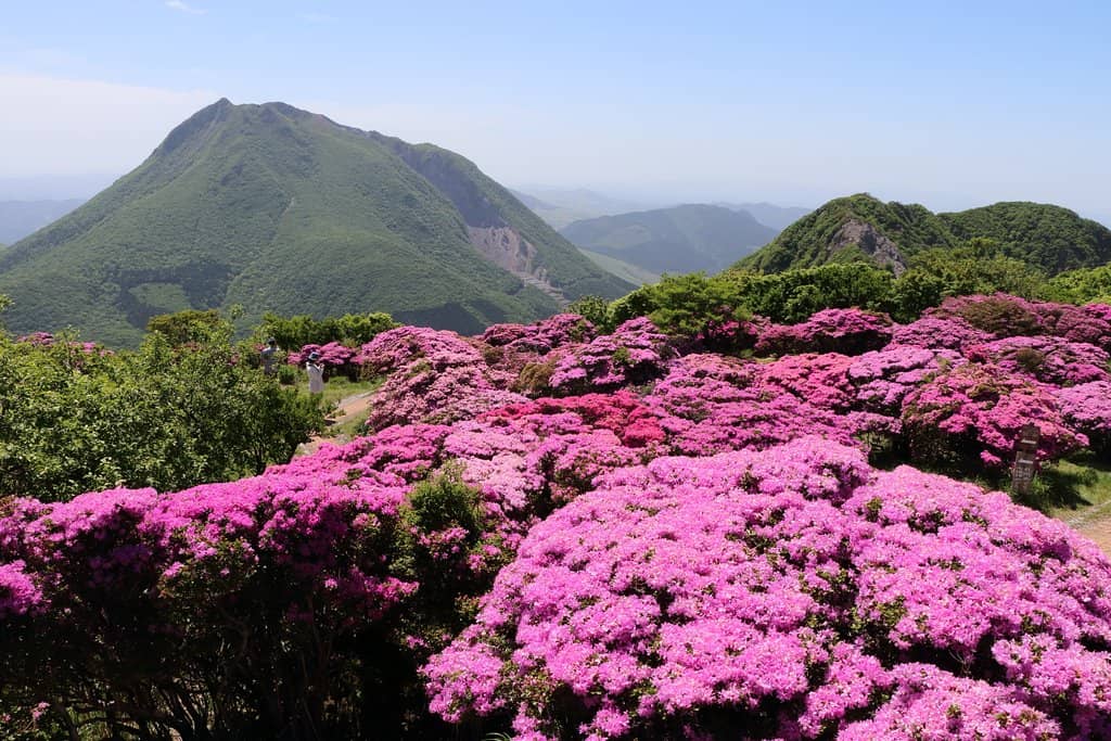 Mount Tsurumi Hiking Trails