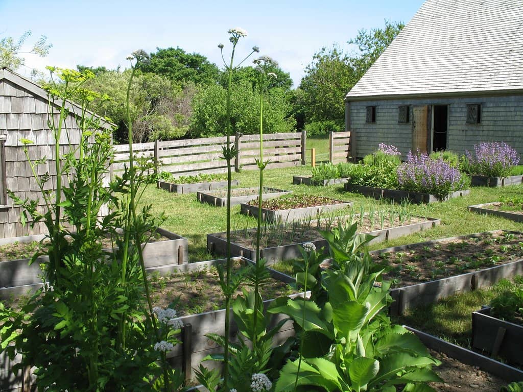 The Saltbox Architecture