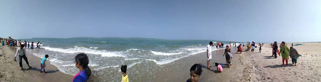 Seafood Shack Delights