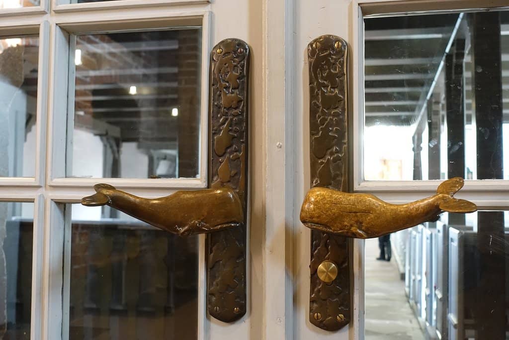 Summer Concert Series