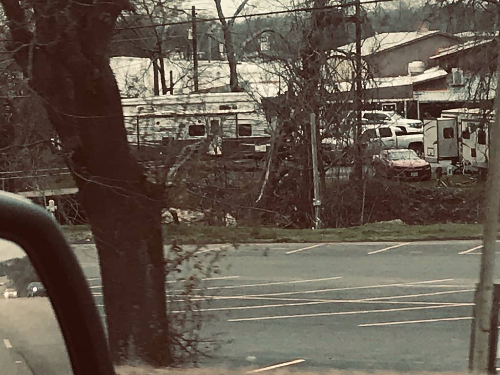 Diverse Food Vendors