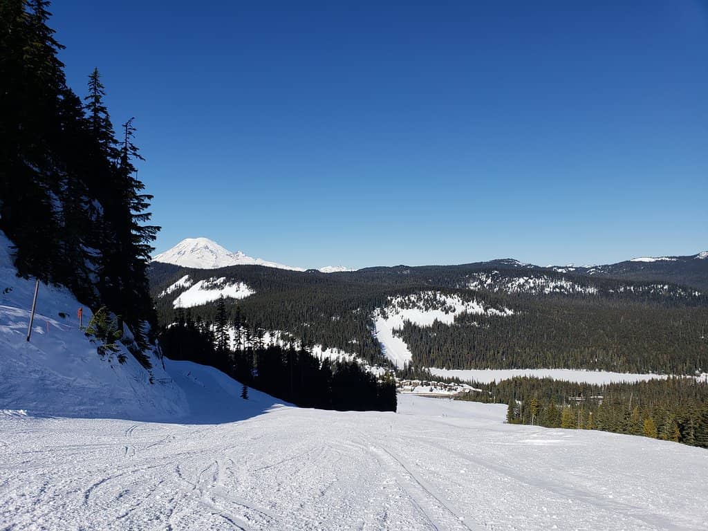 Gladed Tree Skiing