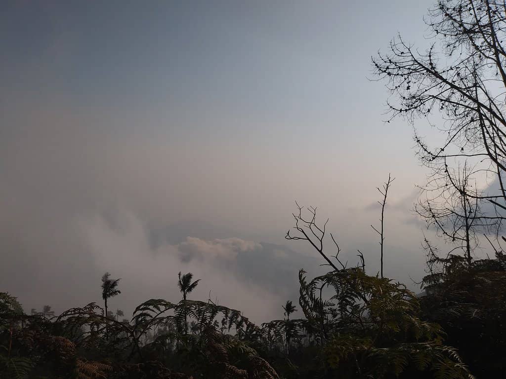 Cloud Forest Experience