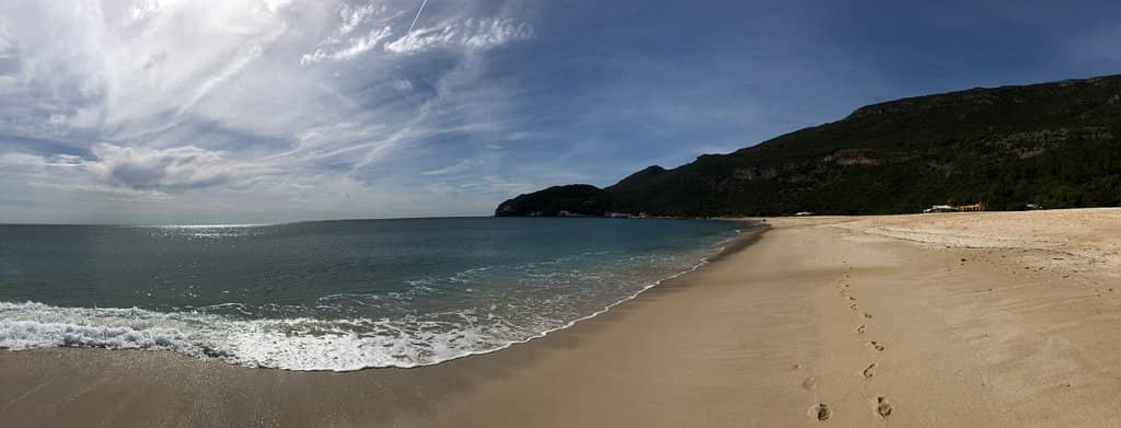 Award-Winning Beauty