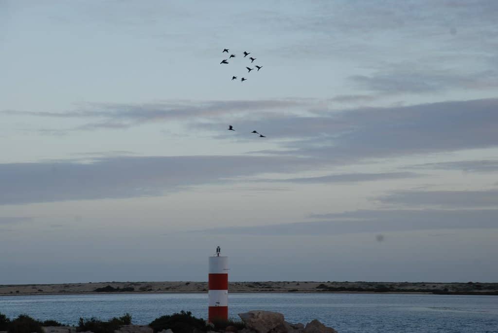 Ria Formosa Views