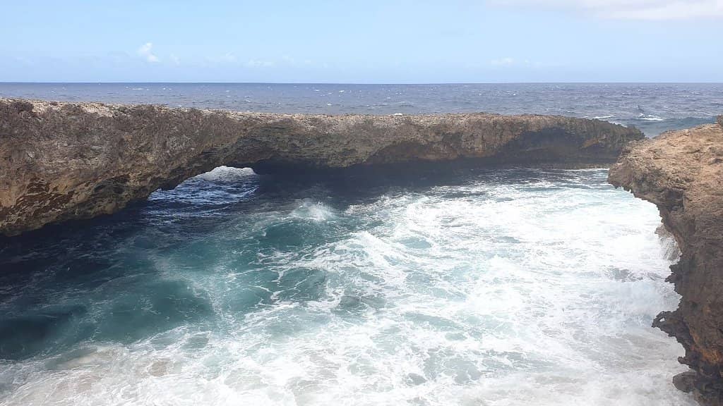 Sea Turtle Nesting Sites