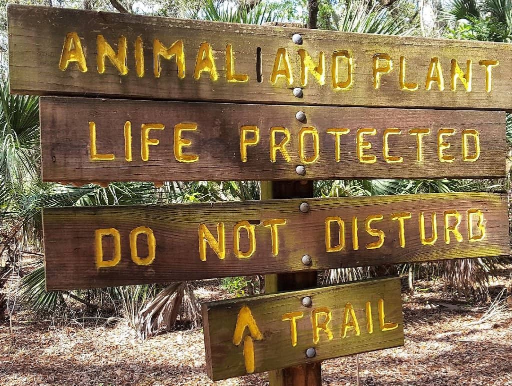 Raptor Sanctuary