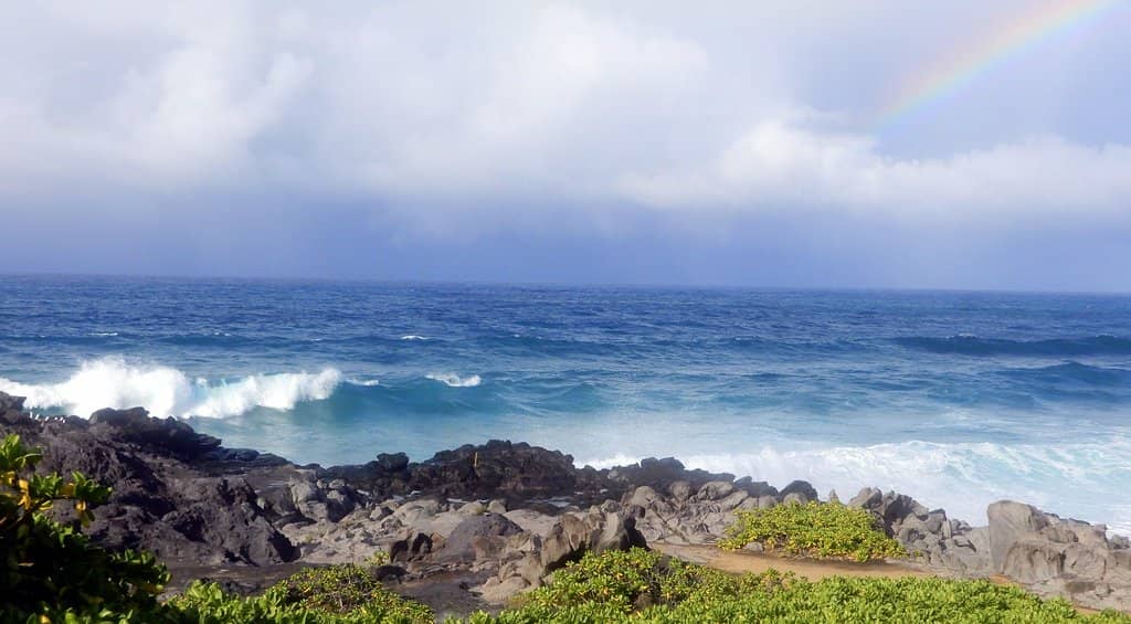 Seabird Nesting Areas
