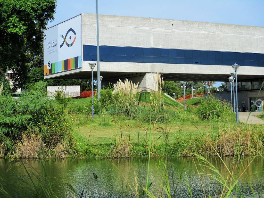 Native Species Tanks