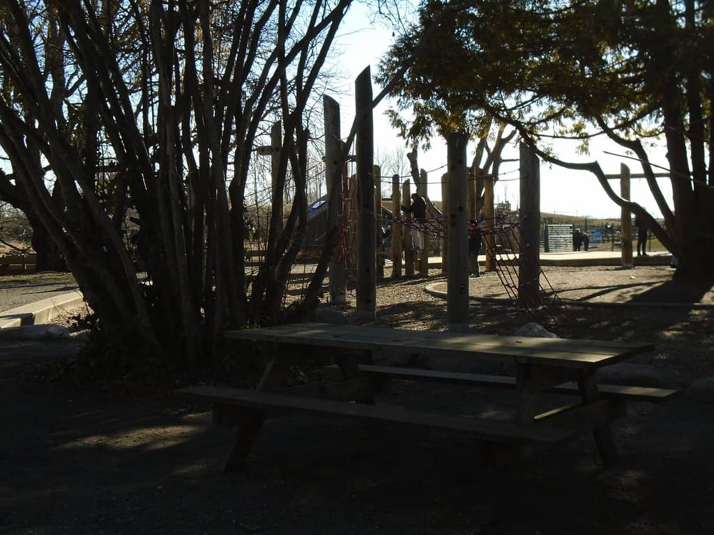 Nature-Inspired Play